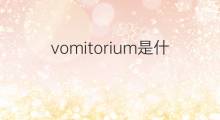 vomitorium是什么意思 vomitorium的中文翻译、读音、例句