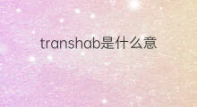 transhab是什么意思 transhab的中文翻译、读音、例句