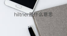 hiltner是什么意思 hiltner的中文翻译、读音、例句