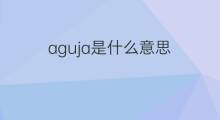 aguja是什么意思 aguja的中文翻译、读音、例句
