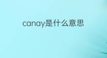 canay是什么意思 canay的中文翻译、读音、例句