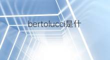bertolucci是什么意思 英文名bertolucci的翻译、发音、来源