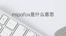 mipafox是什么意思 mipafox的中文翻译、读音、例句