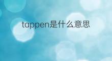 tappen是什么意思 tappen的中文翻译、读音、例句