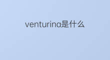 venturina是什么意思 venturina的中文翻译、读音、例句