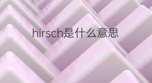 hirsch是什么意思 hirsch的中文翻译、读音、例句