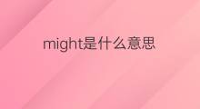 might是什么意思 might的中文翻译、读音、例句