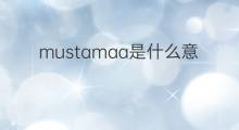 mustamaa是什么意思 mustamaa的中文翻译、读音、例句
