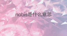 nabis是什么意思 nabis的中文翻译、读音、例句