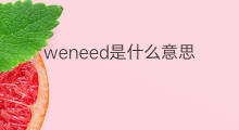 weneed是什么意思 weneed的中文翻译、读音、例句