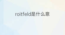 roitfeld是什么意思 roitfeld的中文翻译、读音、例句
