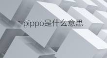 pippo是什么意思 pippo的中文翻译、读音、例句