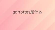 garrottes是什么意思 garrottes的中文翻译、读音、例句