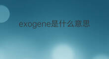 exogene是什么意思 exogene的中文翻译、读音、例句