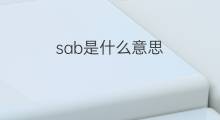 sab是什么意思 sab的中文翻译、读音、例句