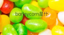 barleycorn是什么意思 barleycorn的中文翻译、读音、例句