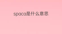 spaca是什么意思 spaca的中文翻译、读音、例句