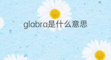 glabra是什么意思 glabra的中文翻译、读音、例句