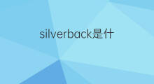 silverback是什么意思 silverback的中文翻译、读音、例句