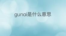 gunai是什么意思 gunai的中文翻译、读音、例句