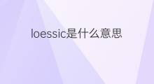 loessic是什么意思 loessic的中文翻译、读音、例句