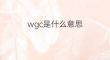 wgc是什么意思 wgc的中文翻译、读音、例句