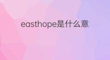easthope是什么意思 easthope的中文翻译、读音、例句