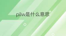 pilw是什么意思 pilw的中文翻译、读音、例句
