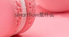 smartflow是什么意思 smartflow的中文翻译、读音、例句