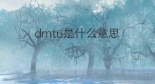 dmtu是什么意思 dmtu的中文翻译、读音、例句