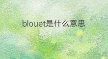 blouet是什么意思 blouet的中文翻译、读音、例句