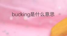 bucking是什么意思 bucking的中文翻译、读音、例句