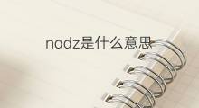 nadz是什么意思 nadz的中文翻译、读音、例句