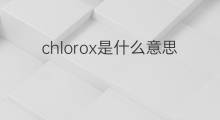 chlorox是什么意思 chlorox的中文翻译、读音、例句