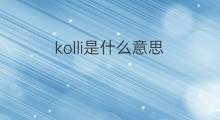 kolli是什么意思 英文名kolli的翻译、发音、来源