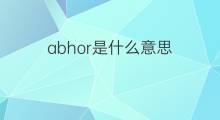 abhor是什么意思 abhor的中文翻译、读音、例句