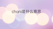 chani是什么意思 chani的中文翻译、读音、例句