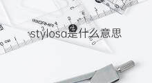 stylosa是什么意思 stylosa的中文翻译、读音、例句