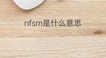 nfsm是什么意思 nfsm的中文翻译、读音、例句