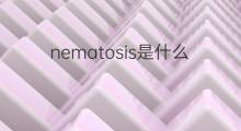 nematosis是什么意思 nematosis的中文翻译、读音、例句
