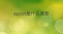 epcot是什么意思 epcot的中文翻译、读音、例句