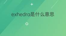 exhedra是什么意思 exhedra的中文翻译、读音、例句