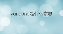 yangona是什么意思 yangona的中文翻译、读音、例句