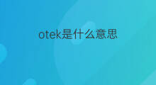 otek是什么意思 otek的中文翻译、读音、例句