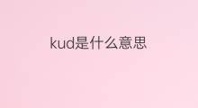 kud是什么意思 kud的中文翻译、读音、例句