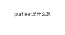 purfleet是什么意思 purfleet的中文翻译、读音、例句