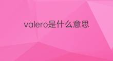 valero是什么意思 valero的中文翻译、读音、例句