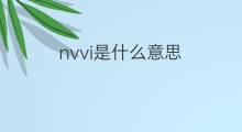 nvvi是什么意思 nvvi的中文翻译、读音、例句