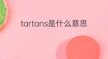 tartans是什么意思 tartans的中文翻译、读音、例句