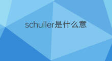 schuller是什么意思 schuller的中文翻译、读音、例句